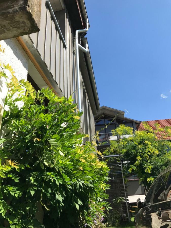 Blackbird'S Nest Wiesenbronn Buitenkant foto